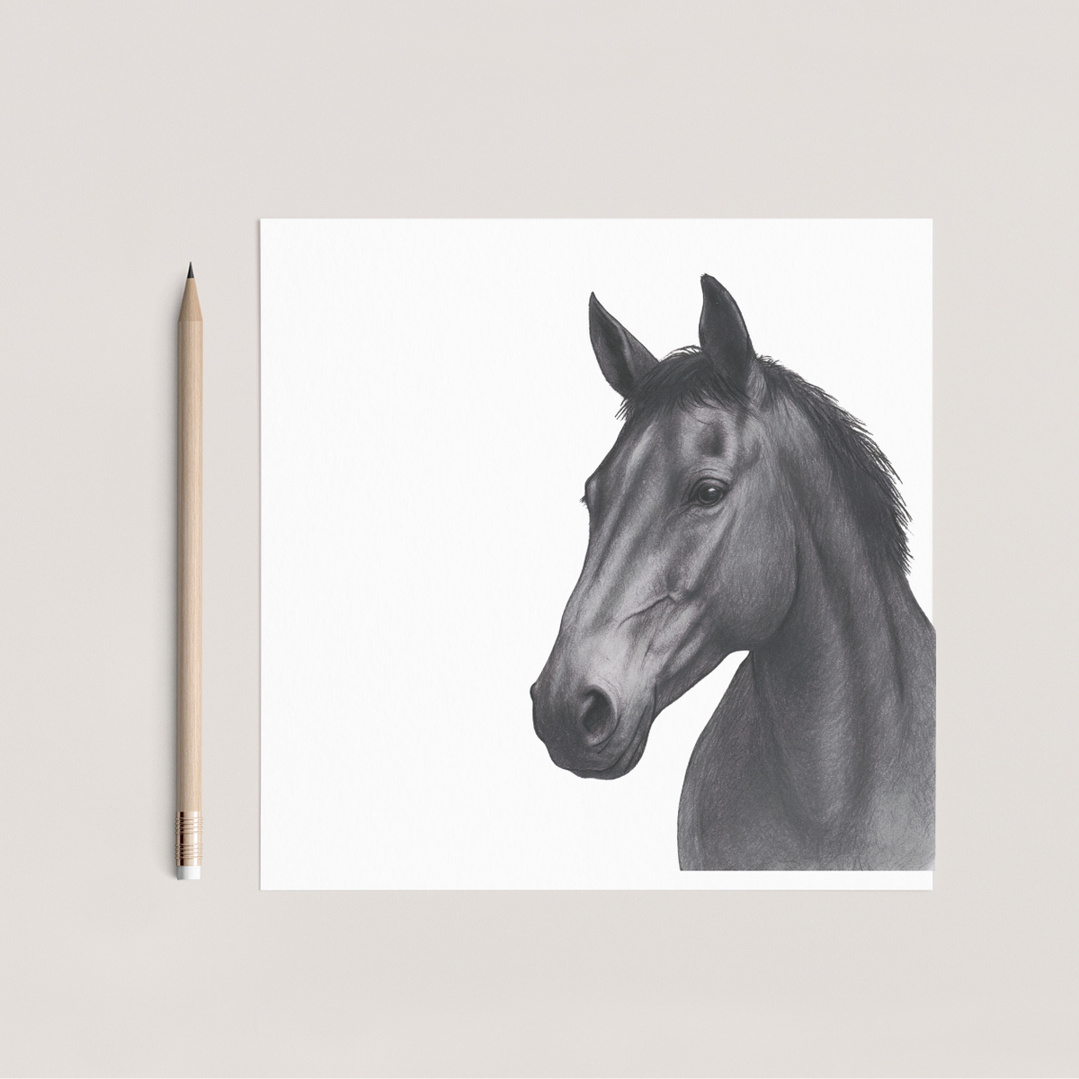 Rigel Kent Horse Hand Drawn Greeting Card