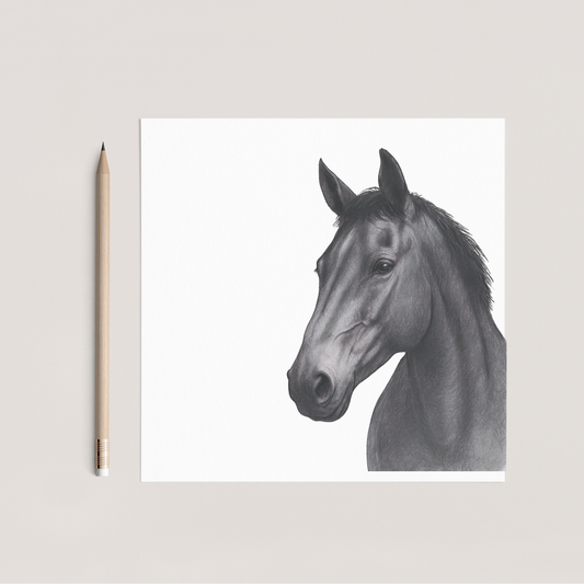 Rigel Kent Horse Hand Drawn Greeting Card