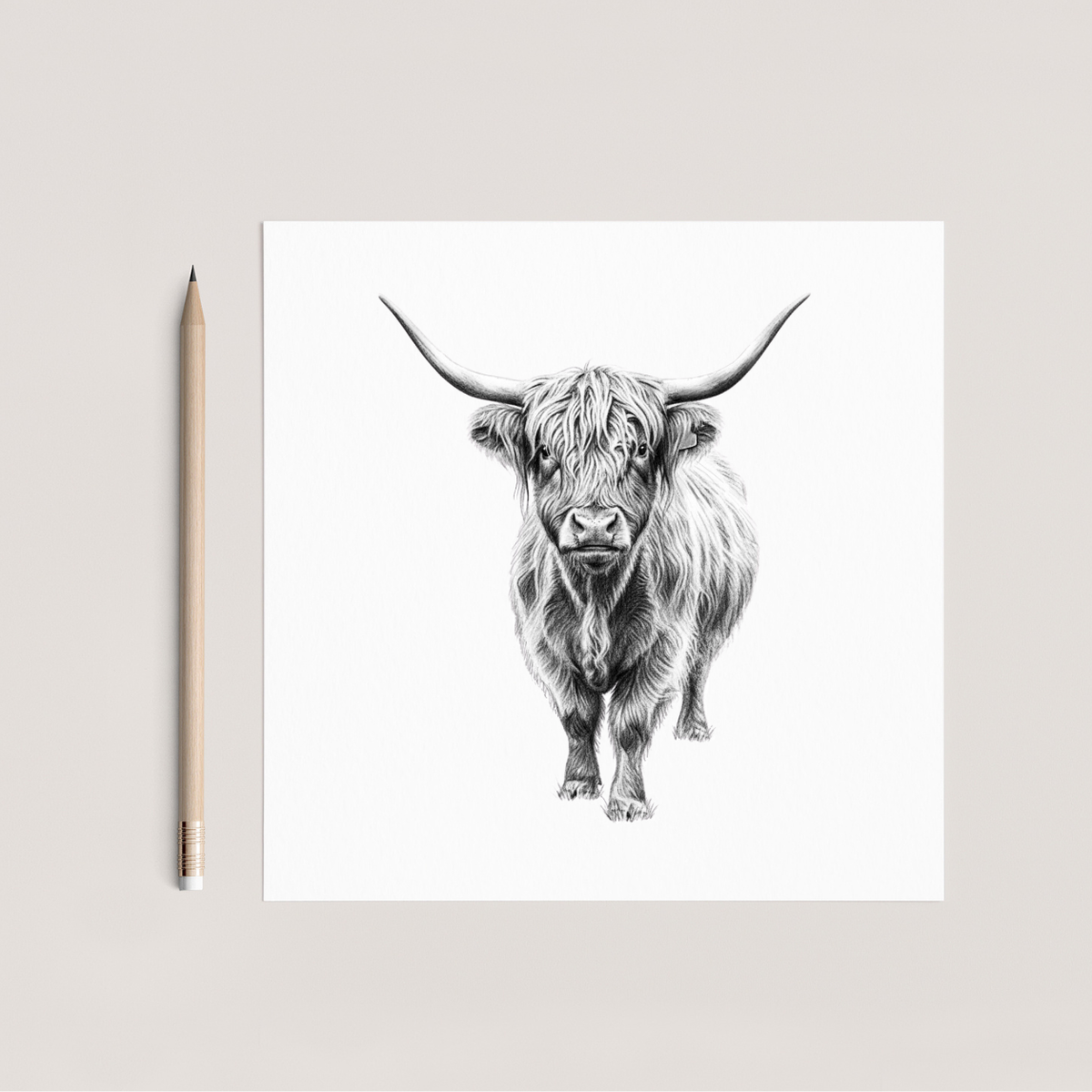 Standing Highland Coo Hand Drawn Greeting Card