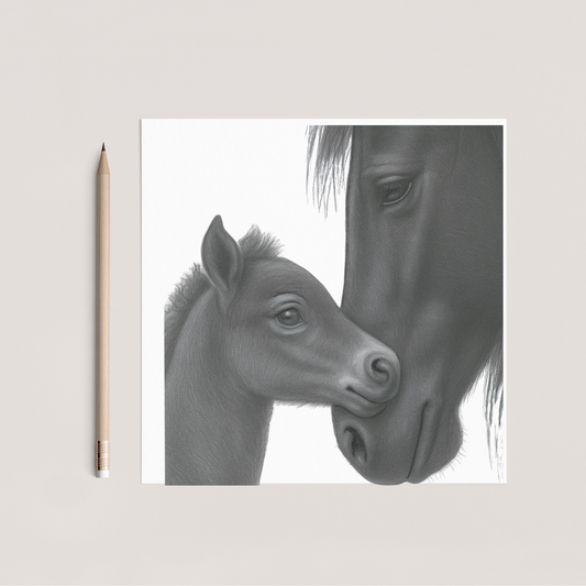 Stella and Nova Hand Drawn Greeting Card