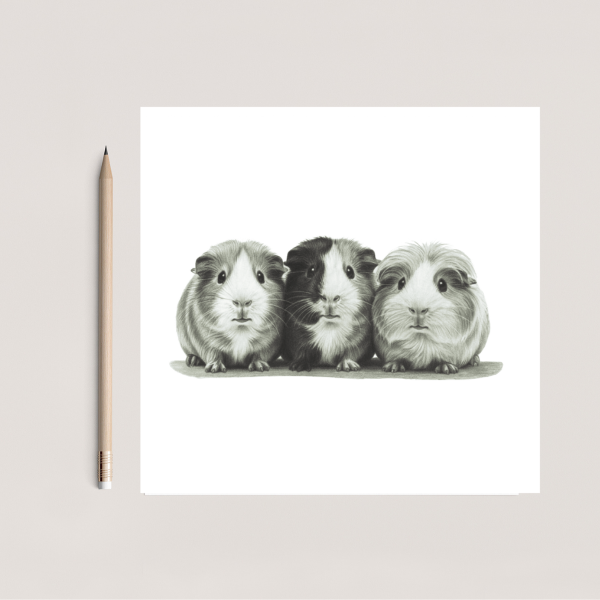 Guinea Pigs Hand Drawn Greeting Card