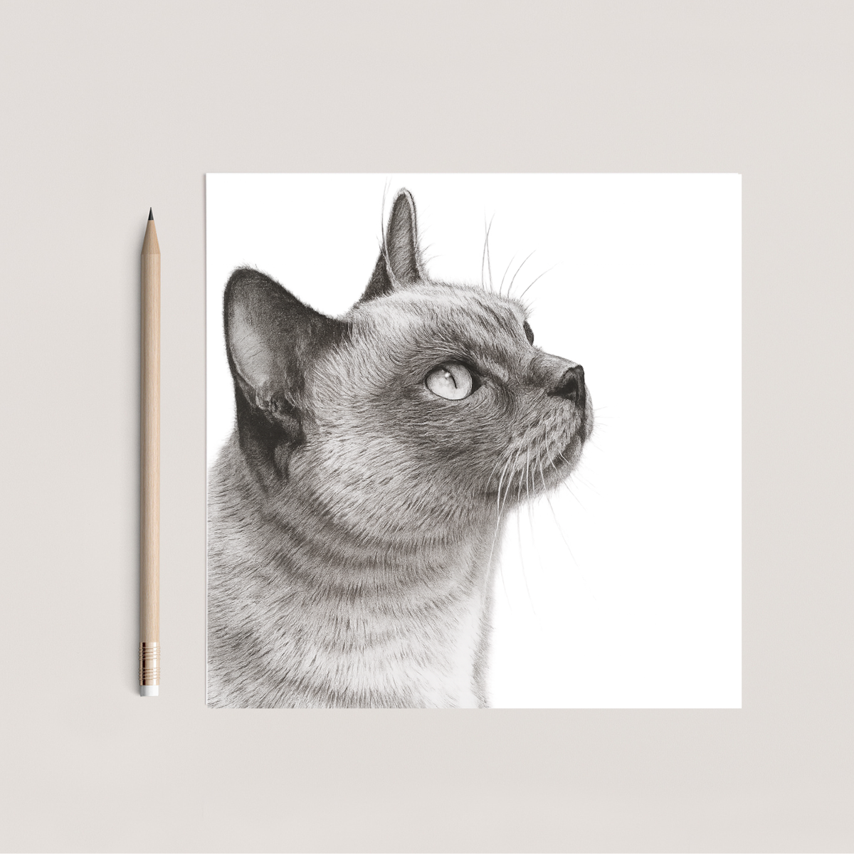 Lola the Cat Hand Drawn Greeting Card