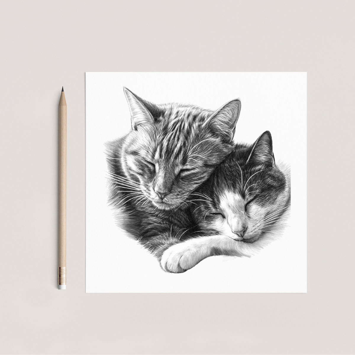 Cat Love Hand Drawn Greeting Card