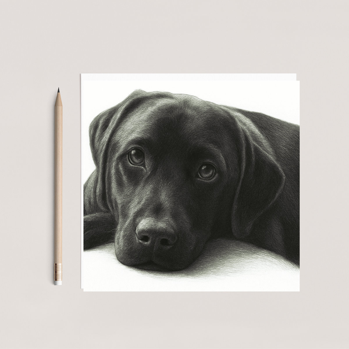 Marley Labrador Hand Drawn Greeting Card