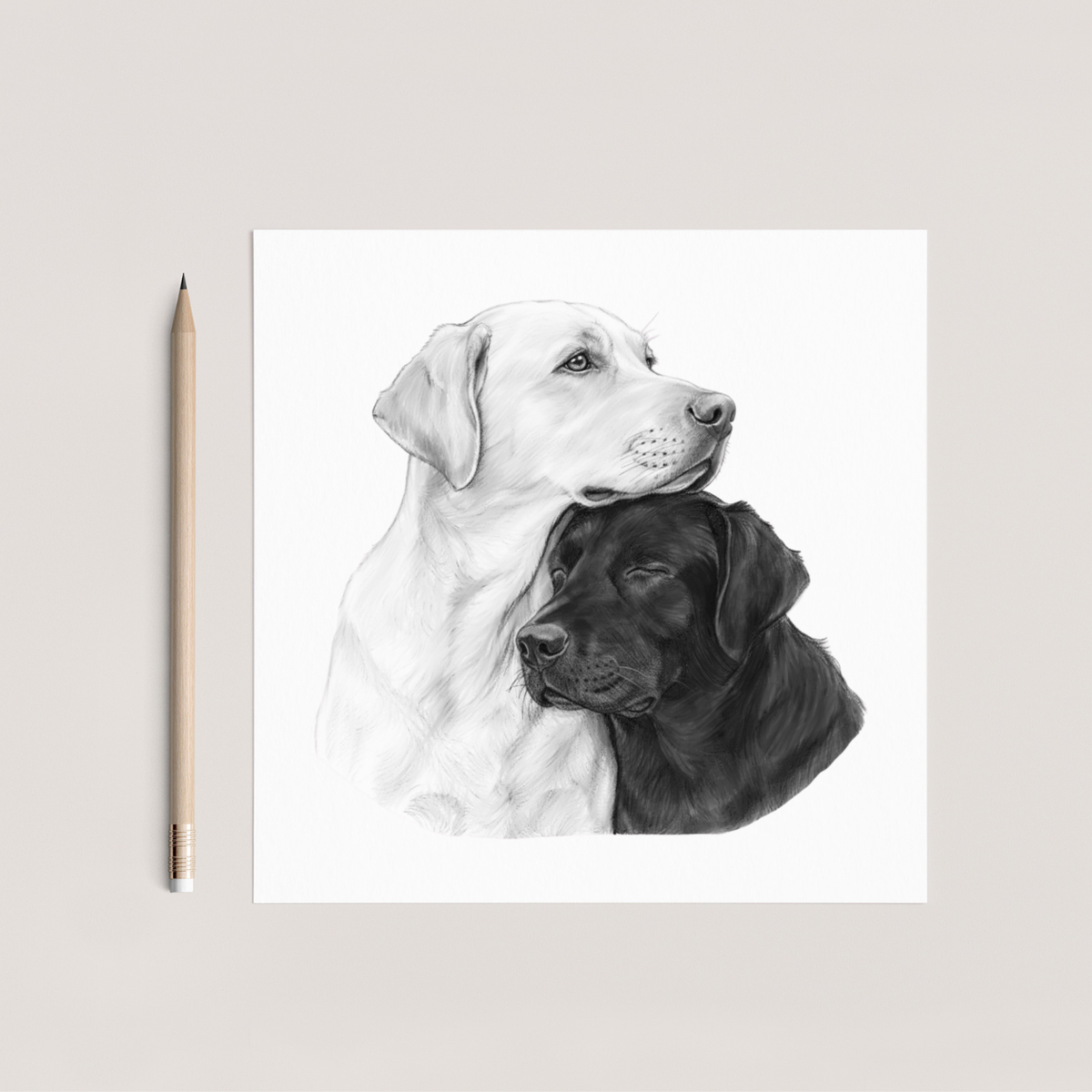 Labrador's Home Hand Drawn Greeting Card