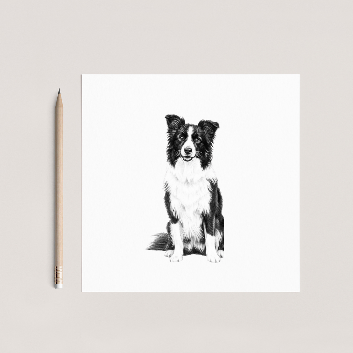 Columba the Sheepdog Hand Drawn Greeting Card
