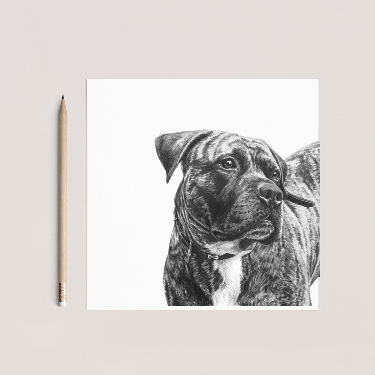 Pitbull Cross Hand Drawn Greeting Card