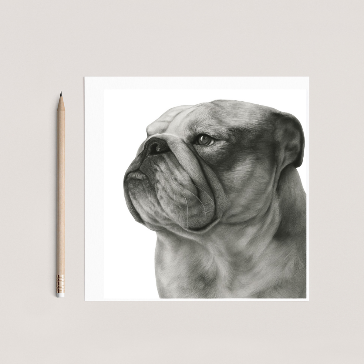 Wezen the Bulldog Hand Drawn Greeting Card