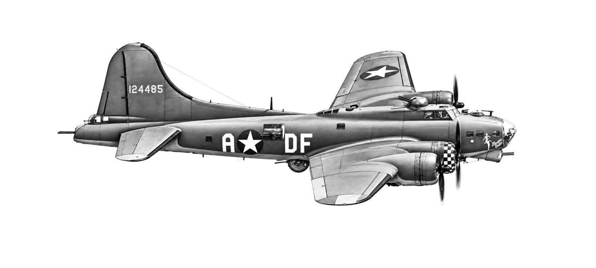 Monochrome B-17 Flying Fortress aircraft artwork on a white background
