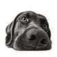 Black Labrador greeting card, pencil-style drawing of a Labrador resting its head and looking up