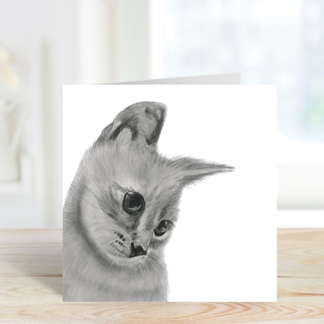 A Hand Drawn Cat Greeting Card from Libra Fine Arts
