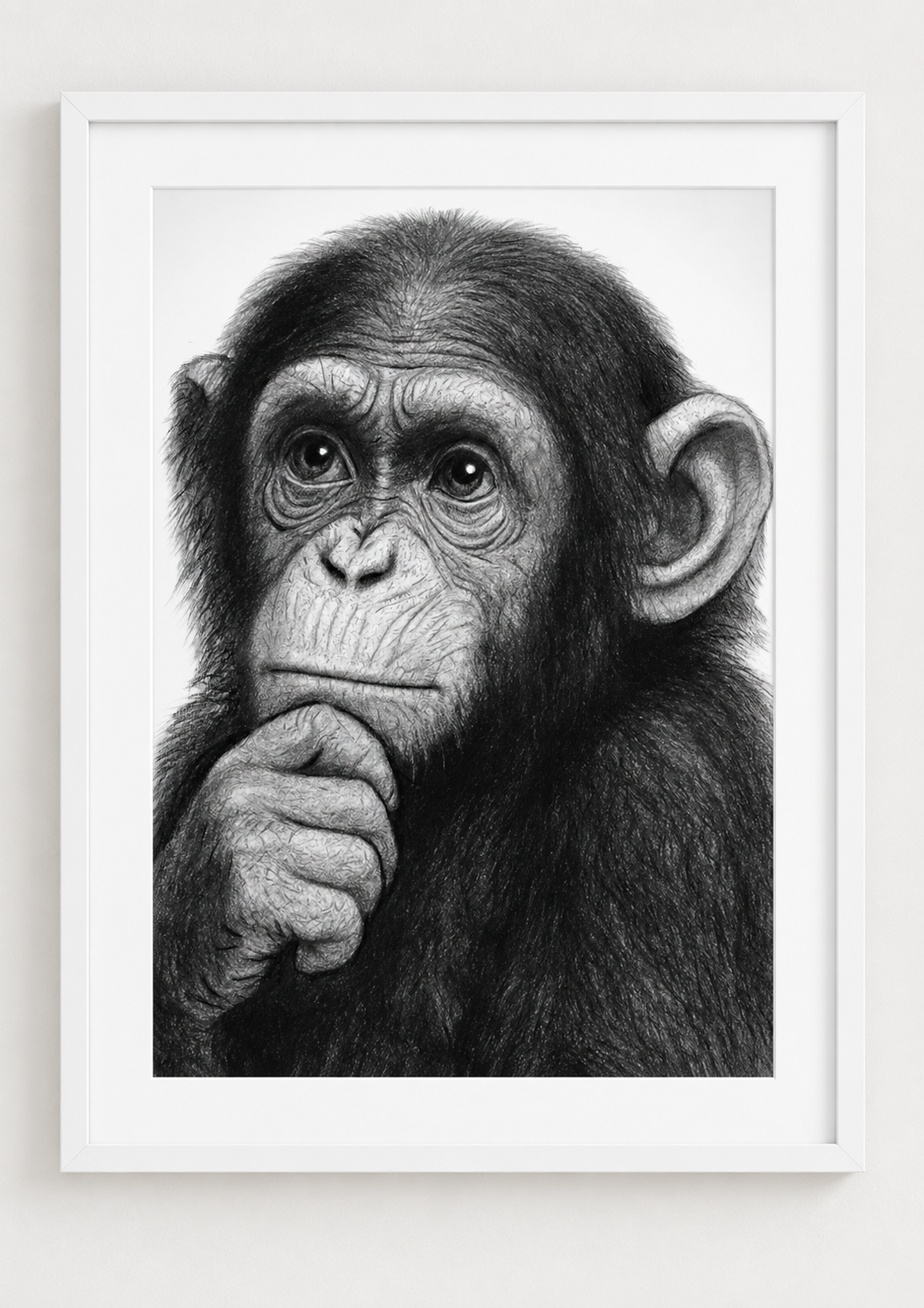 Thoughtful Chimpanzee Fine Art Print in a white frame with white mount, rectangular A4 style