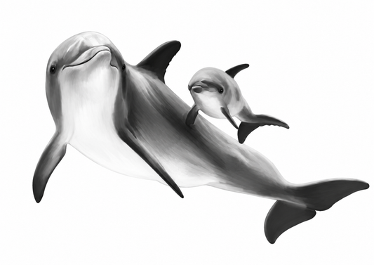 Dolphin and Calf Fine Art Print — A4 landscape artwork