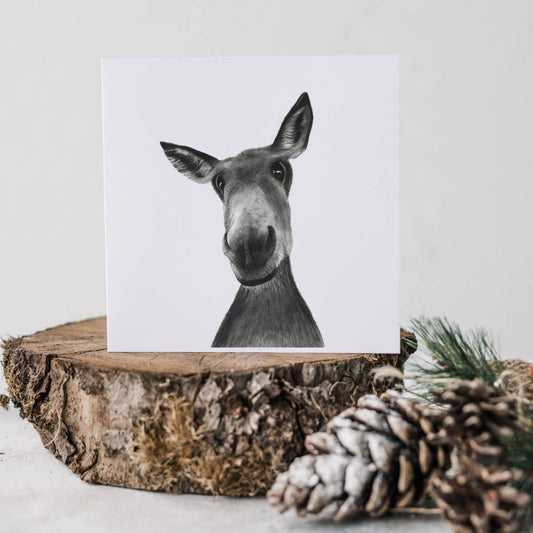 Sirus the Donkey Greeting Card