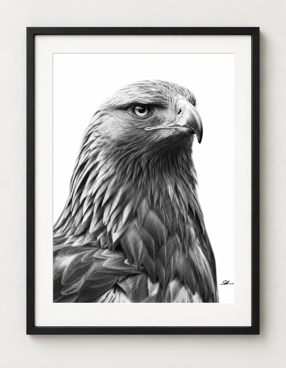 Eagle Portrait Fine Art Print in Black frame with white mount