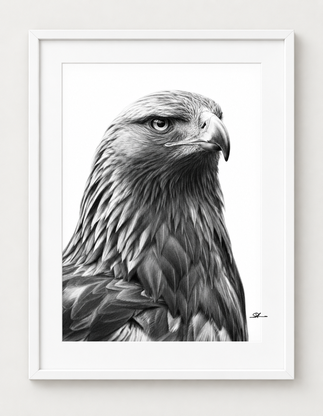 Eagle Portrait Fine Art Print in White frame with white mount