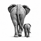 Elephant and calf greeting card — white-background card front