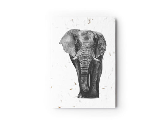 Atik the Elephant Seed Card
