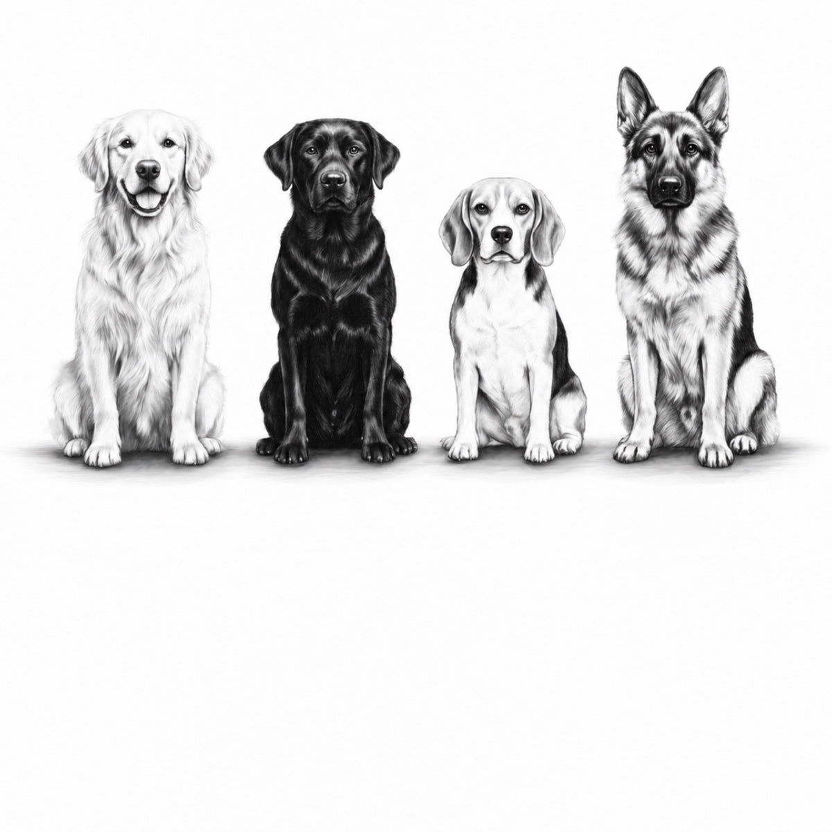 Four Dogs greeting card — golden retriever, black Labrador, beagle and German shepherd