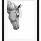 Gentle Horse Portrait Fine Art Print in a black frame with white mount