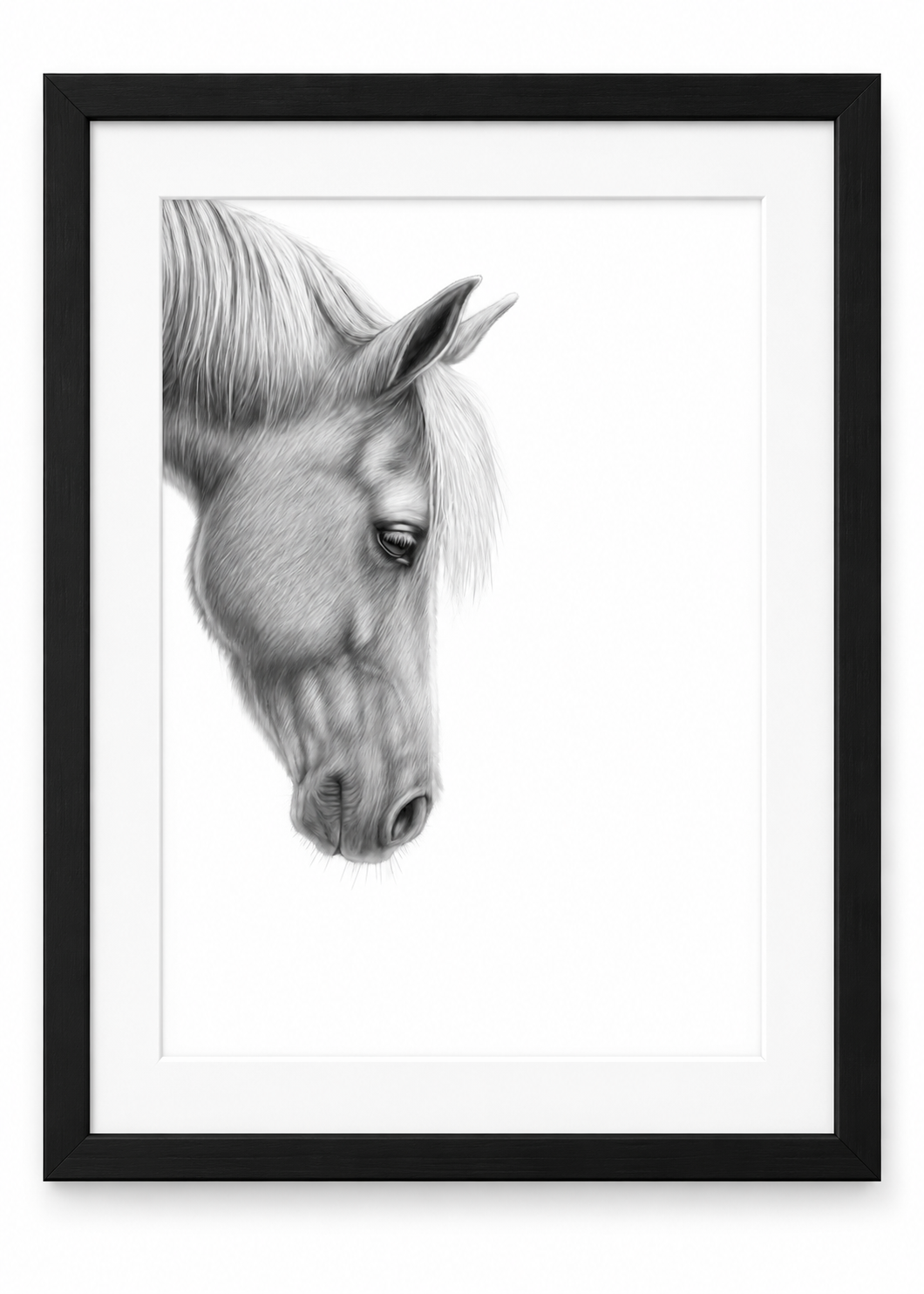 Gentle Horse Portrait Fine Art Print in a black frame with white mount