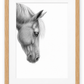 Gentle Horse Portrait Fine Art Print in a oak frame with white mount