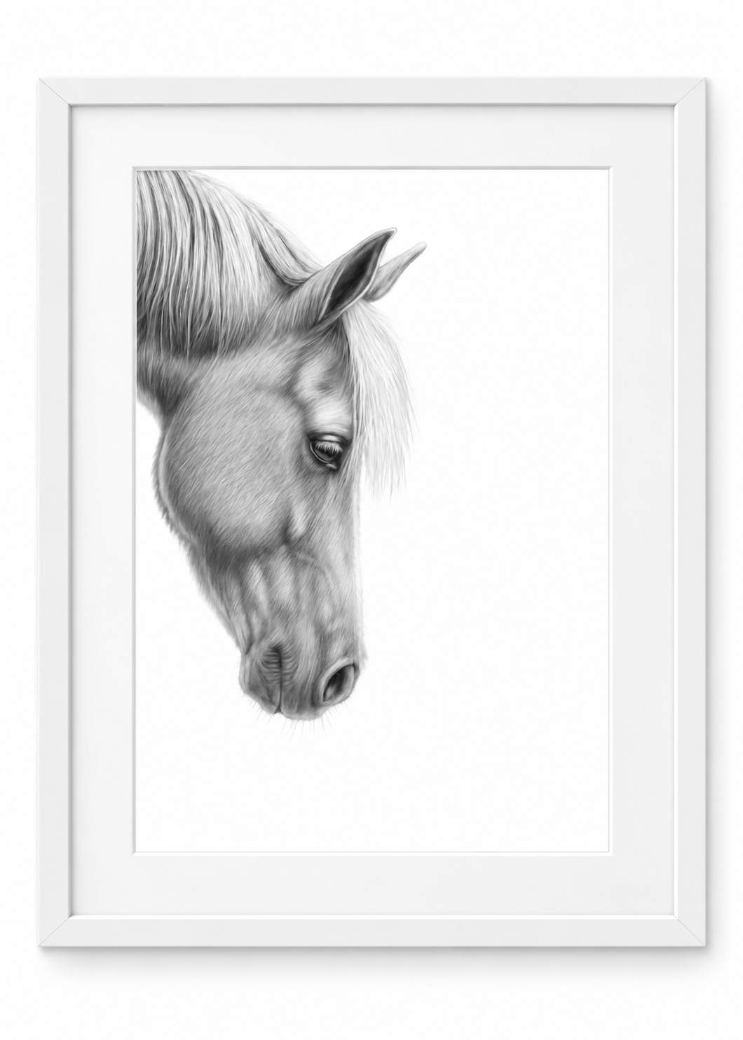 Gentle Horse Portrait Fine Art Print in a white frame with white mount
