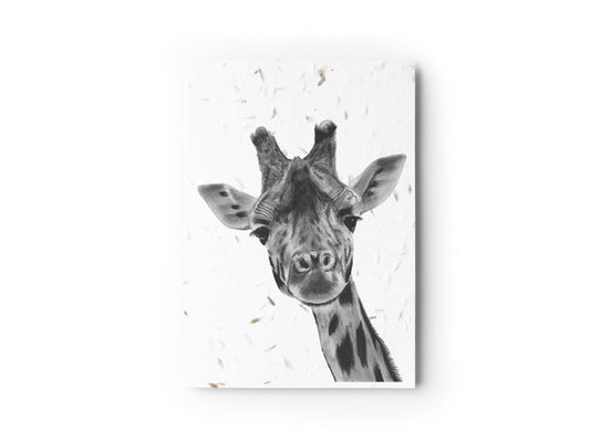 Maya the Giraffe Seed Card