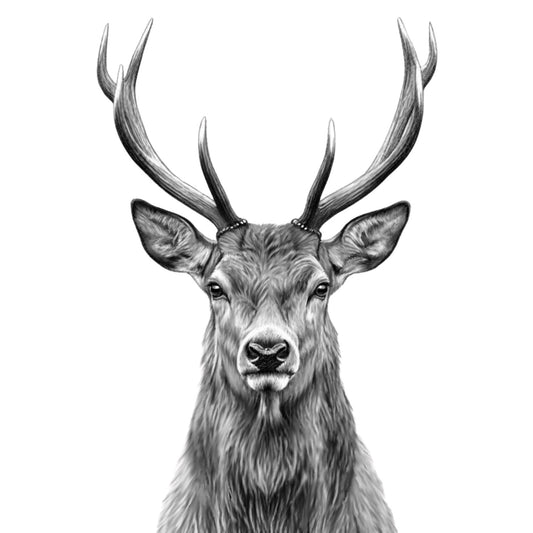 Hadar the Stag greeting card — new artwork on white background
