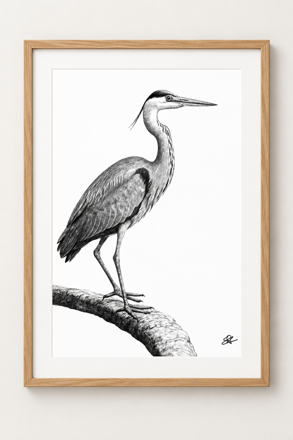 Grey Heron Fine Art Print in Oak frame with white mount