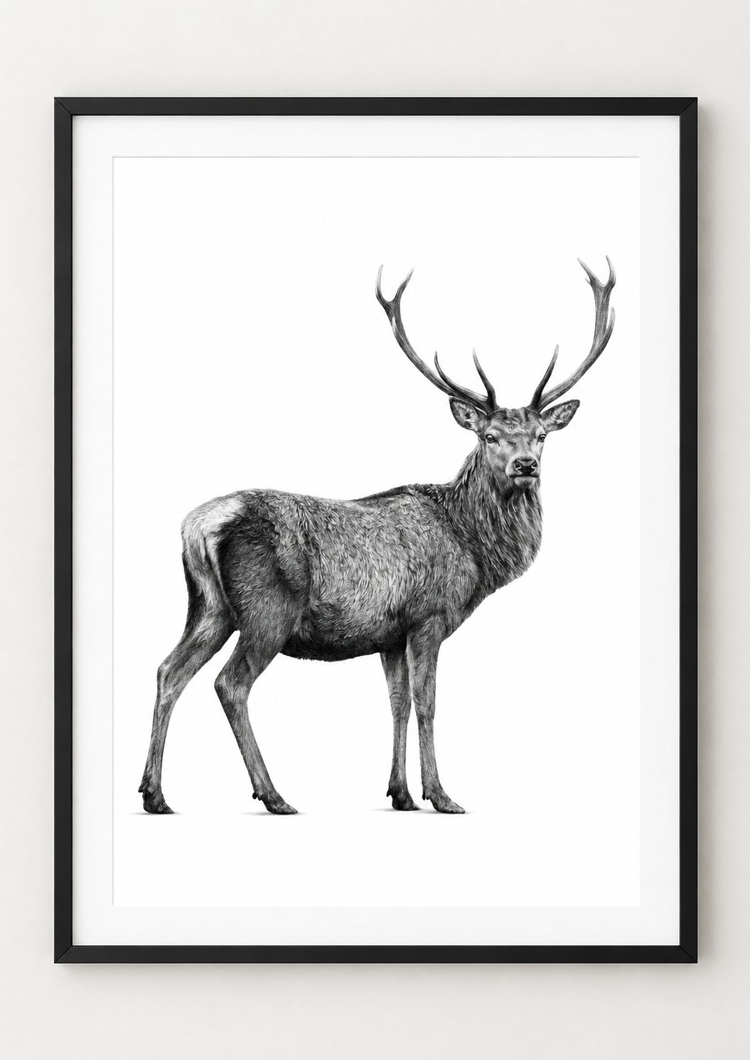 Highland Stag rectangular A4 black print