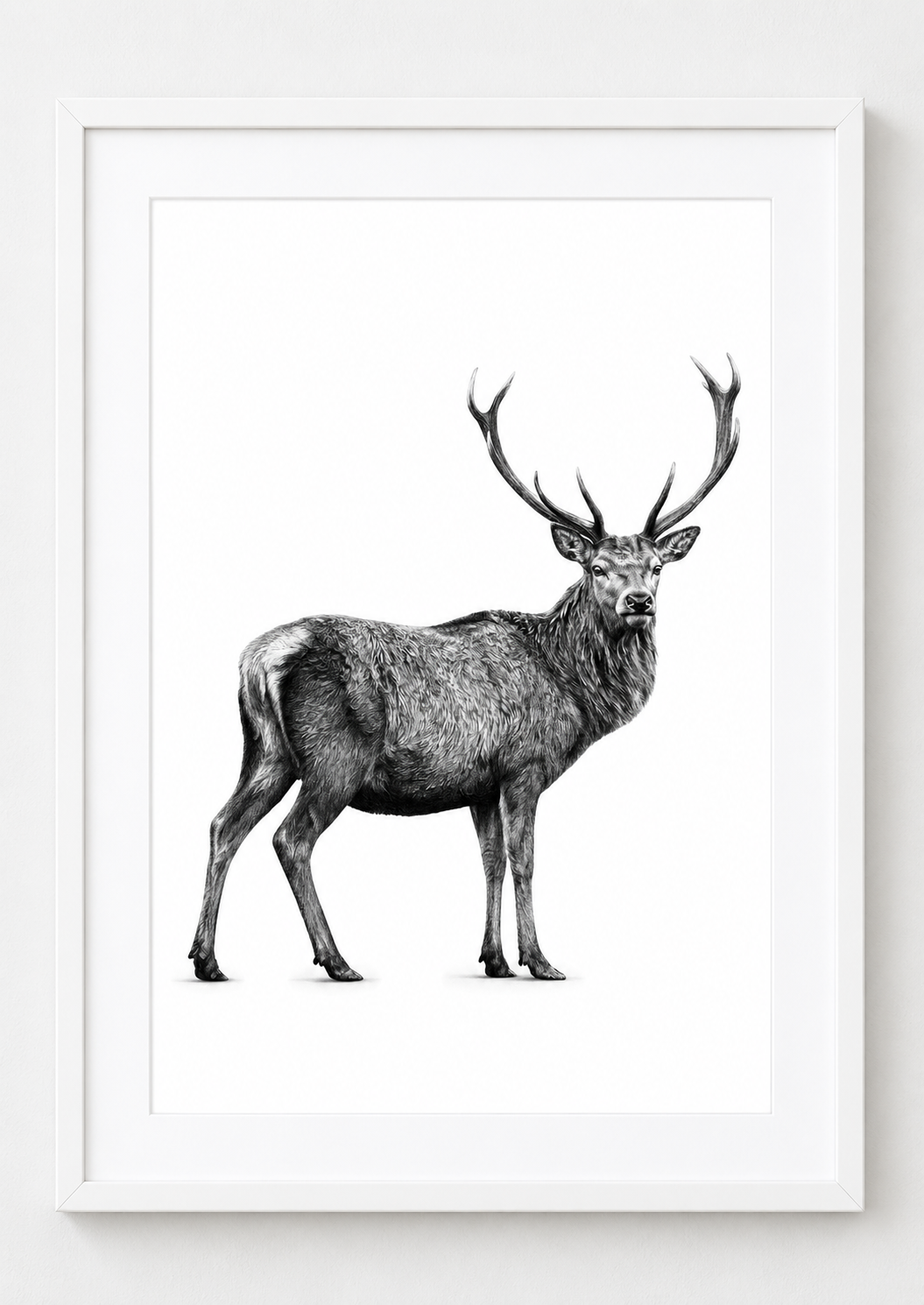 Highland Stag rectangular A4 white print