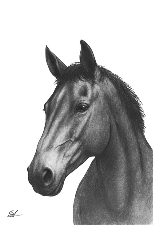 Horse Portrait Fine Art Print monochrome artwork