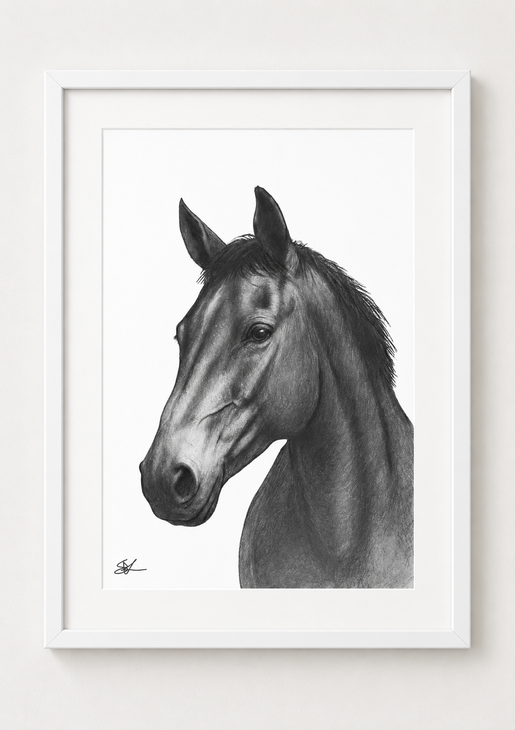 Horse Portrait Fine Art Print in a white frame with white mount, rectangular A4 style