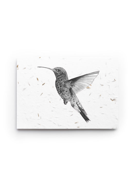 Hummingbird Seeded Card