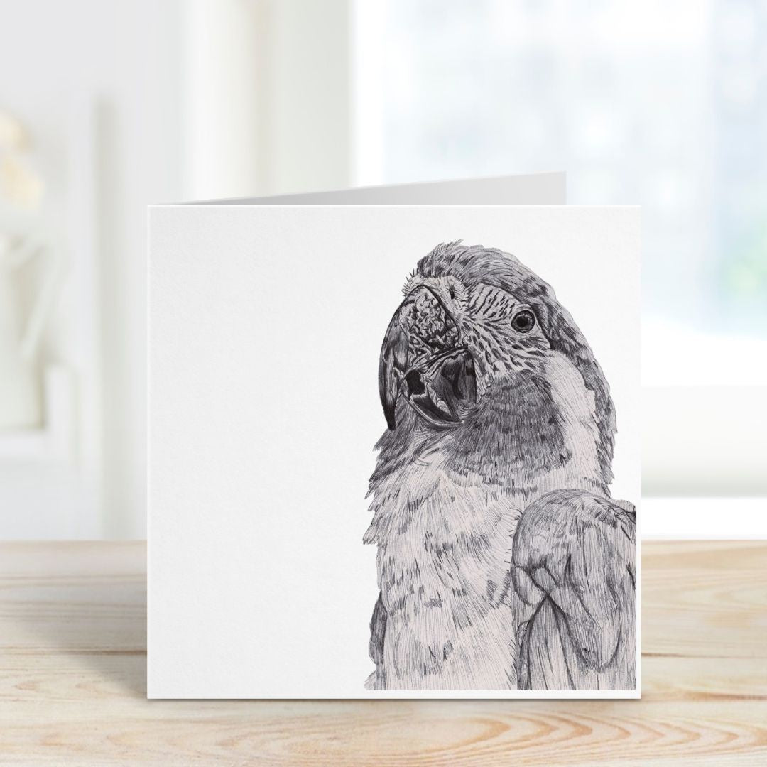 A Hand Drawn Parrot Greeting Card From Libra Fine arts