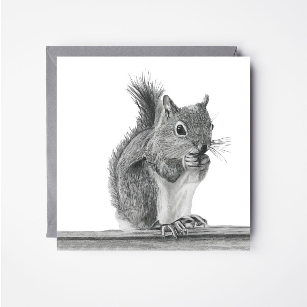 A Hand Drawn Squirrel Greeting Card From Libra Fine Arts