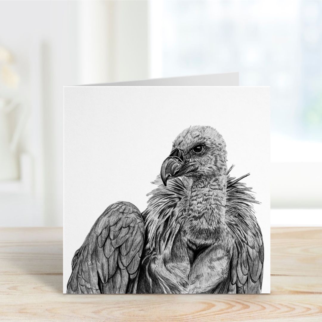 A Hand Drawn Vulture Greeting Card From Libra Fine Arts
