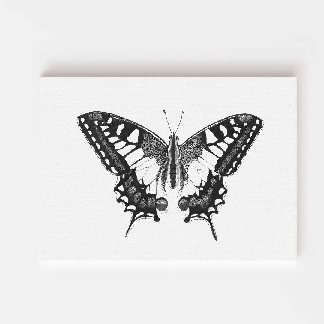 Old World Swallowtail Butterfly Giclée Fine Art Print From Libra Fine Arts