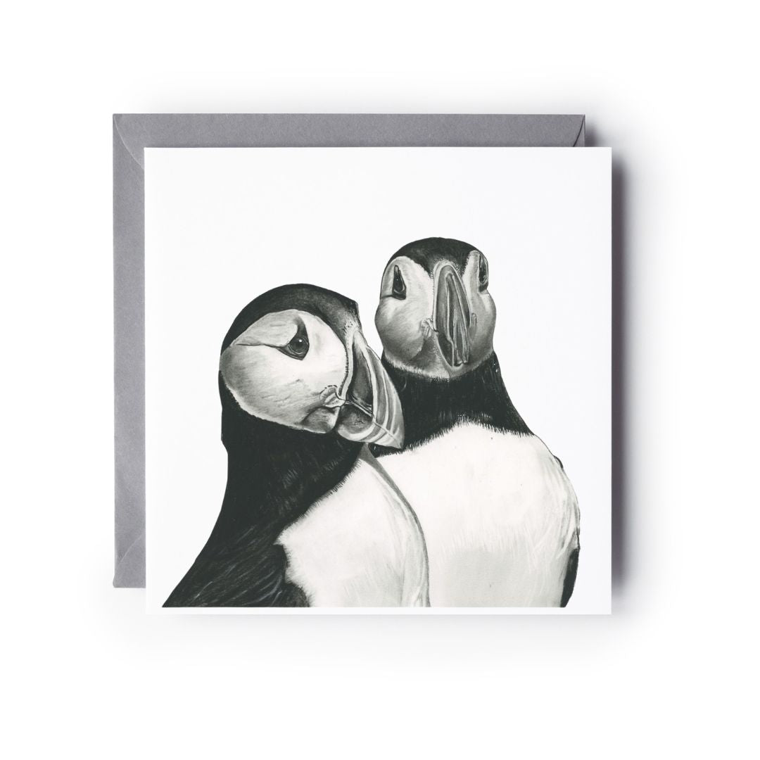 A hand Drawn Puffins Greeting Card from Libra Fine Arts