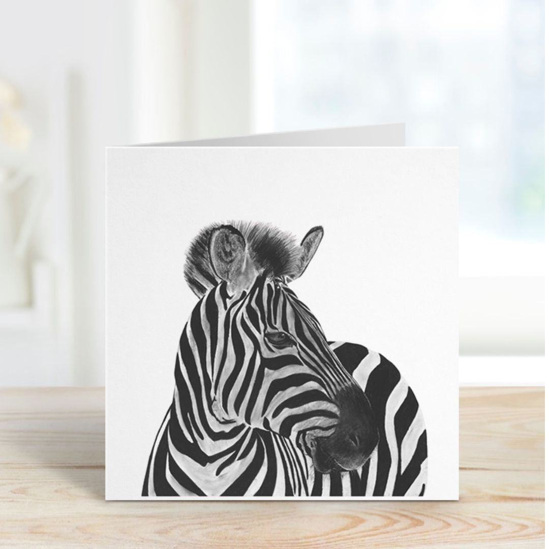 A Hand Drawn Zebra Greeting Card From Libra fine Arts