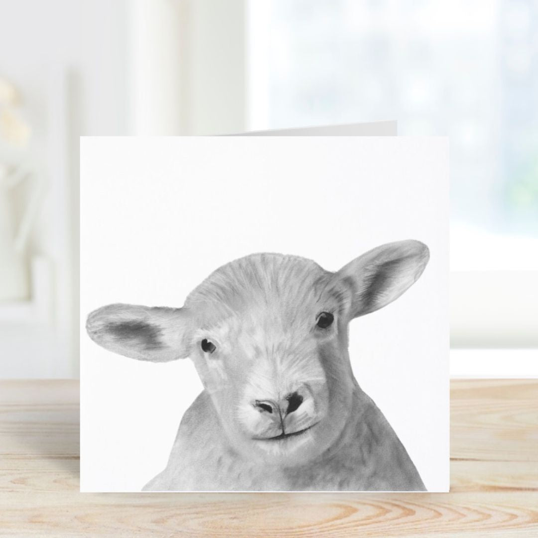 A Hand Drawn Lamb Greeting Card From Libra Fine Arts