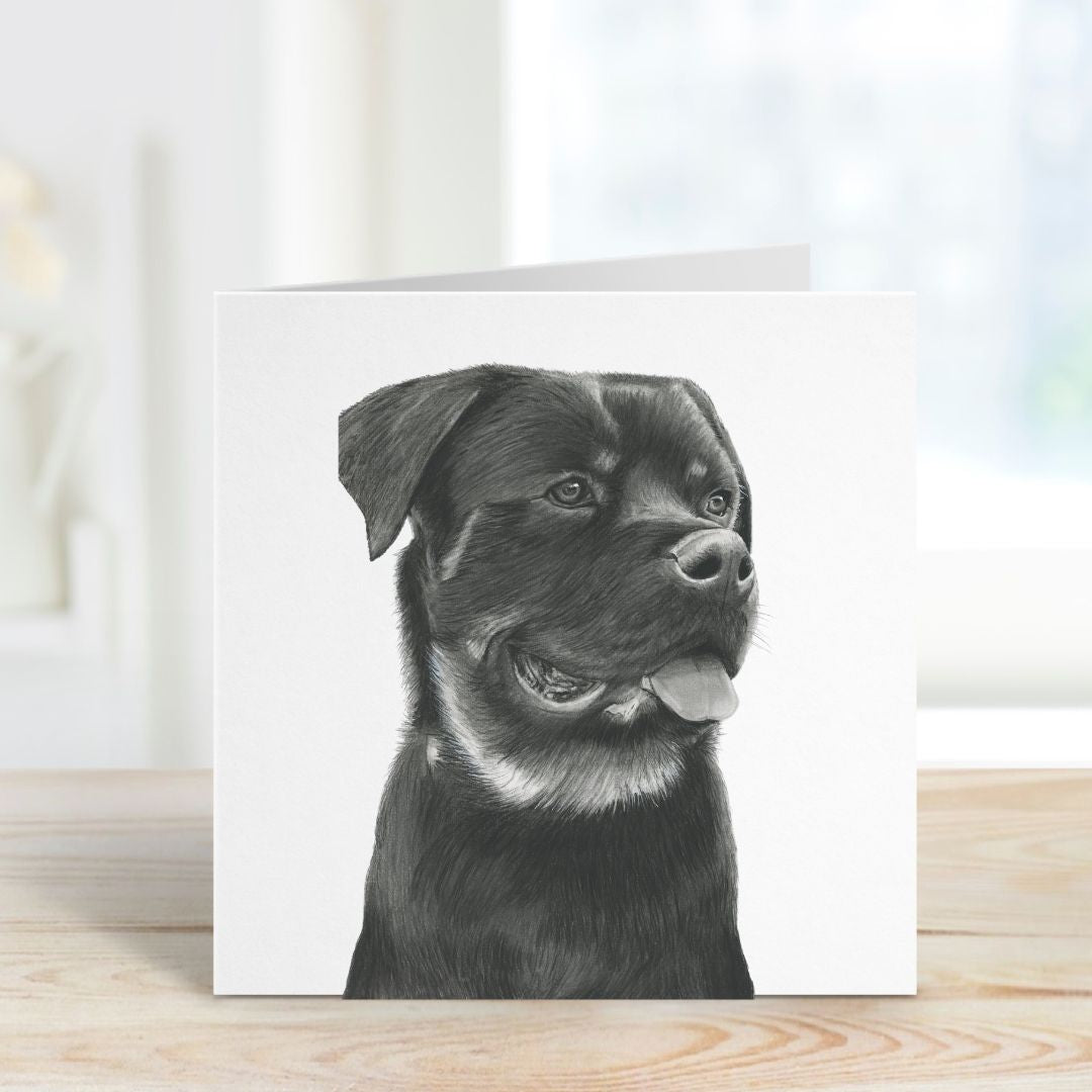 A Hand Drawn Rottweiler Dog Greeting Card From Libra Fine Arts