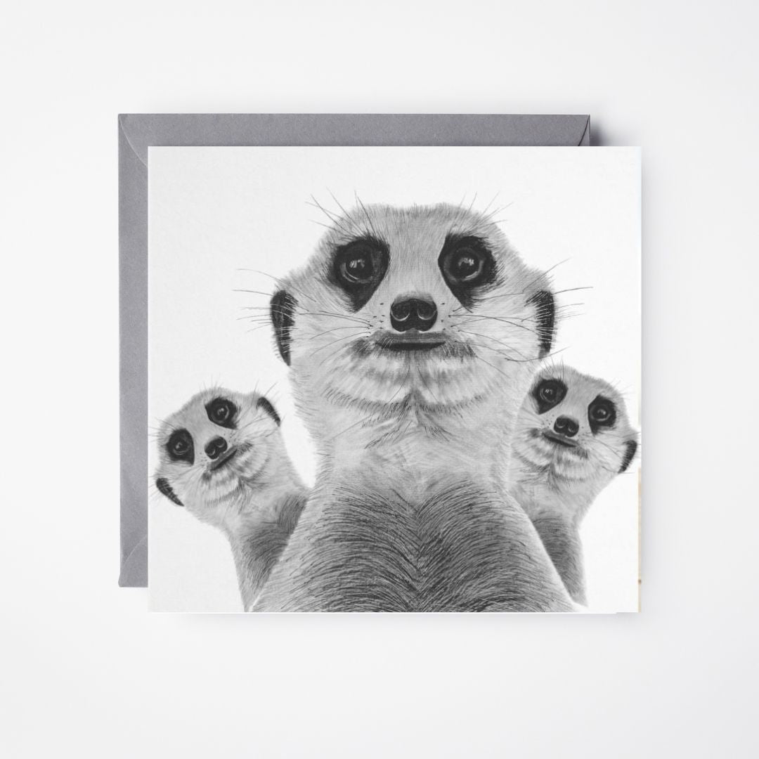 Meerkat Madness Greeting Card