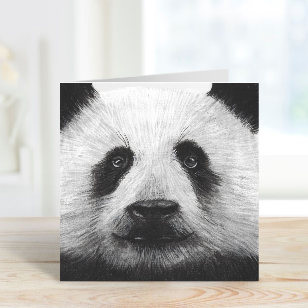 A Hand Drawn Panda Greeting Card From Libra Fine Arts
