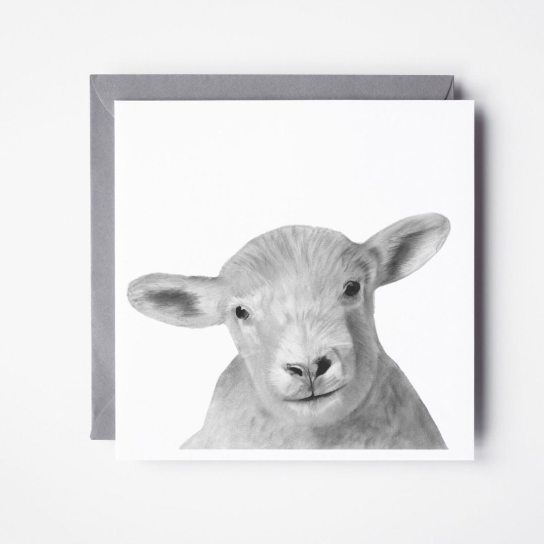 Bootes The Lamb Greeting CardA Hand Drawn Lamb Greeting Card From Libra Fine Arts