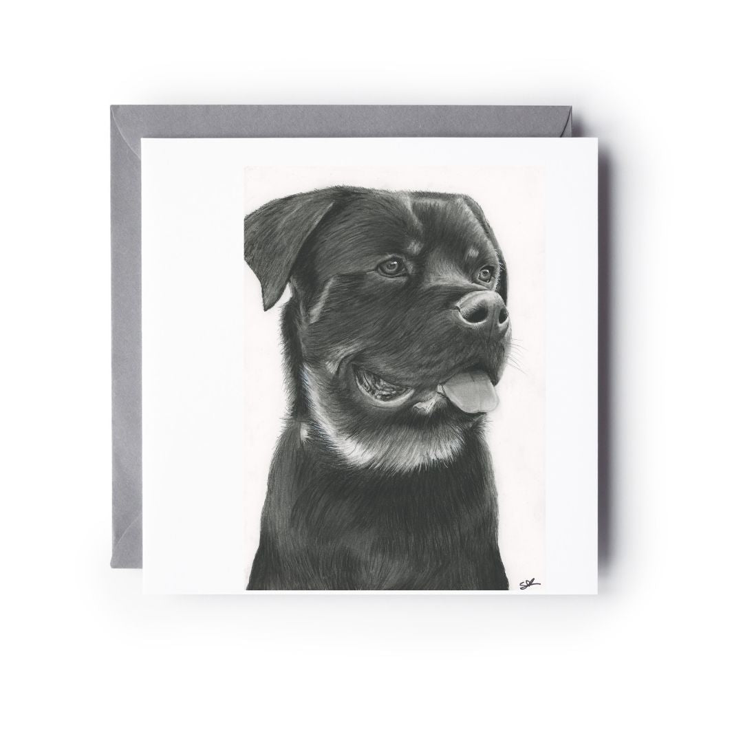 A Hand Drawn Rottweiler Dog Greeting Card From Libra Fine Arts