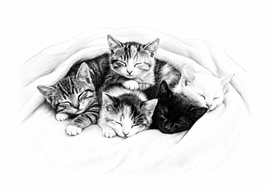 Five Sleeping Kittens fine art print artwork in A-series rectangle