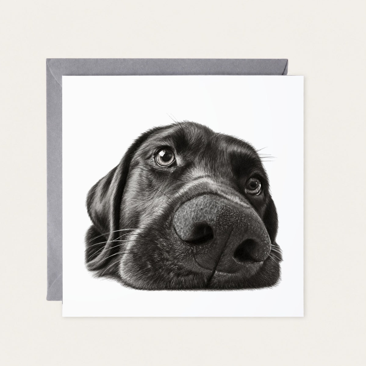 Black Labrador greeting card with grey envelope