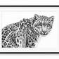 Snow Leopard fine art print in a black frame with white mount